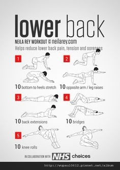 low back pain exesice