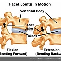 Facet_Joint_Injections_2.jpg