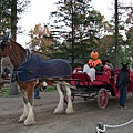 2008-10-22-029馬牧場馬車.jpg