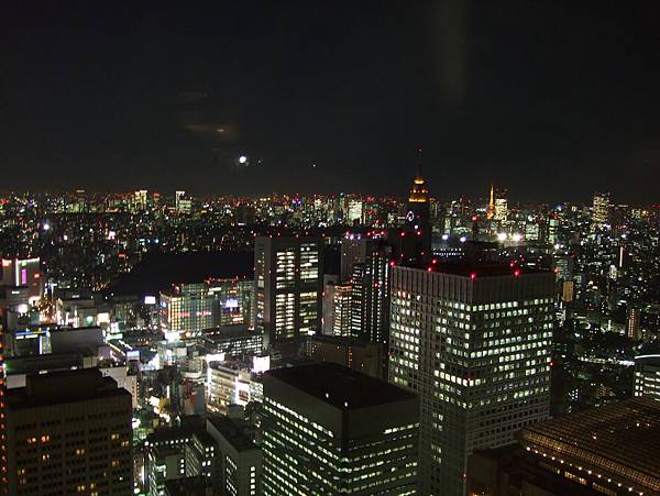 119Day1東京都廳夜景.jpg