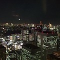 119Day1東京都廳夜景.jpg