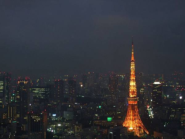 482Day3東京Tokyo view夜景52F.jpg