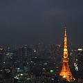 482Day3東京Tokyo view夜景52F.jpg