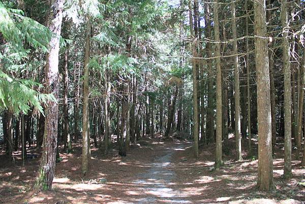 桃山步道