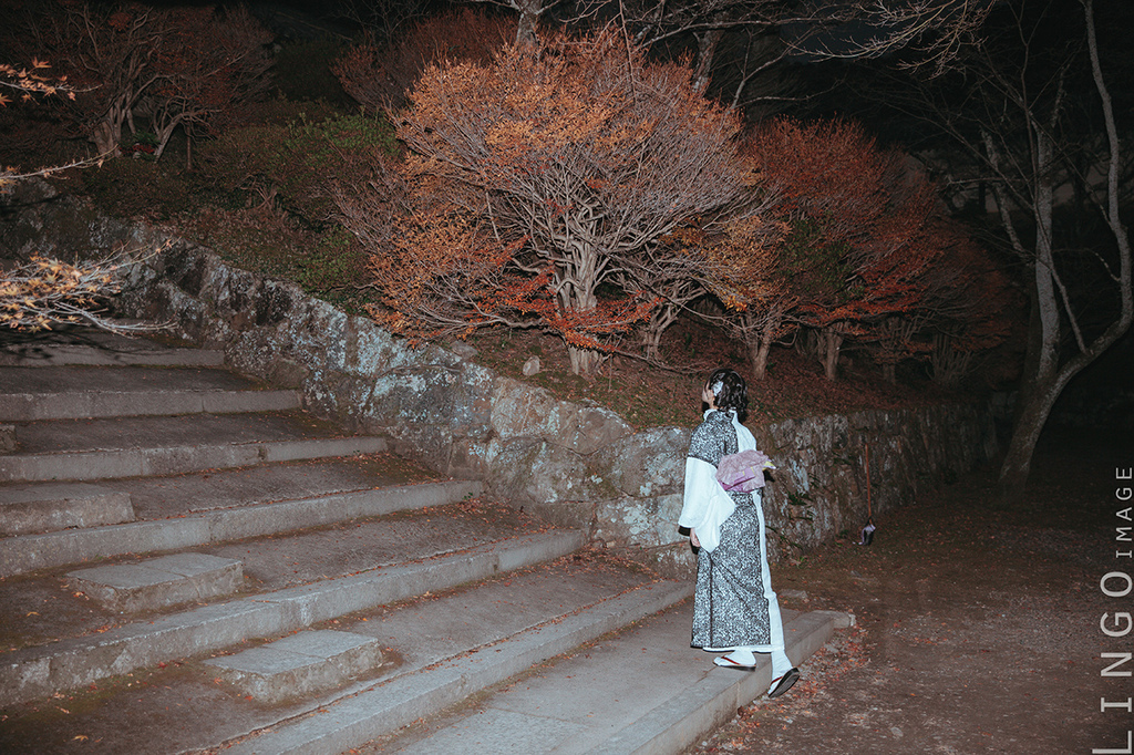 【Lingo image_日本和服寫真體驗】日本楓葉季下的清