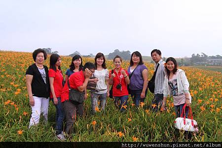 特蒂斯小確幸!拍の金針山之旅