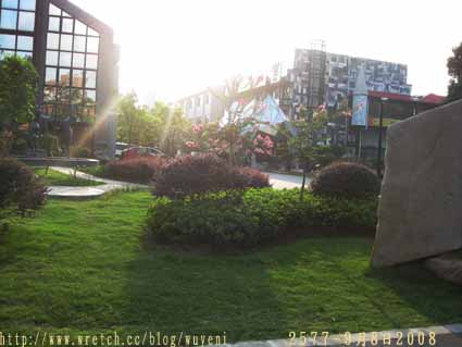 IMG_2219.jpg