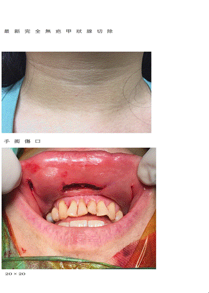 圖片3.gif 圖片3.gif