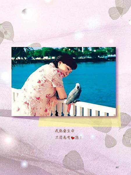 C-BIRDS-EB-S_頁面_215.jpg C-BIRDS-EB-S_頁面_215.jpg