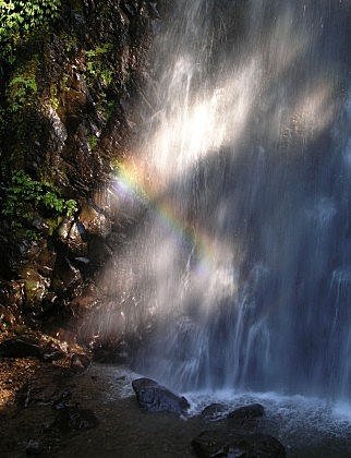 期待~楓紅層層在滿月園