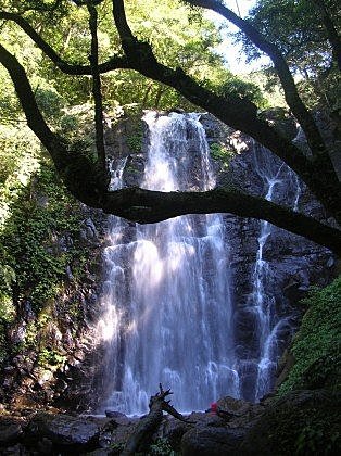 期待~楓紅層層在滿月園