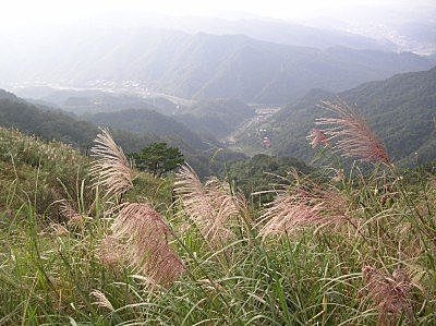 美麗的意外~102公路之美