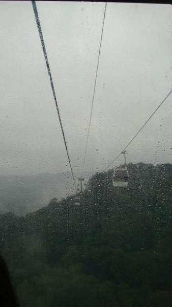 春雨 貓空遊