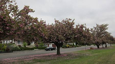 IMG_0864.JPG IMG_0864.JPG
