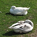 Schlossgarten in Schwetzingen