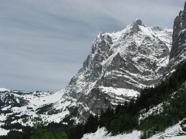 Wetterhorn