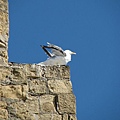 Castel Dell'Ovo