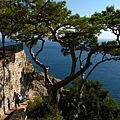 Capri Island