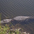 Everglade National Park