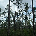 Everglade National Park