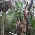 Everglade National Park