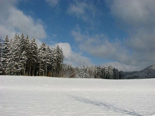 Titisee