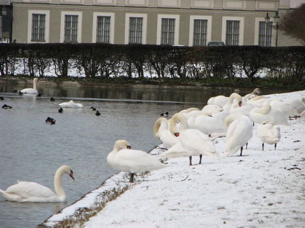 Schloss Nymphenburg