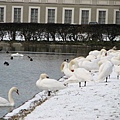 Schloss Nymphenburg