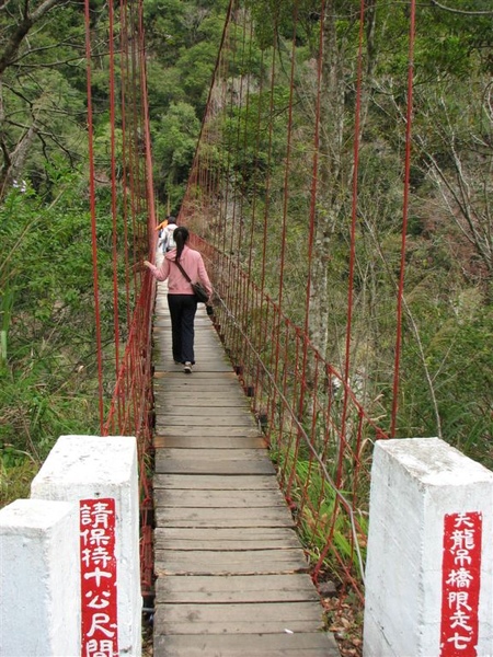 天龍吊橋