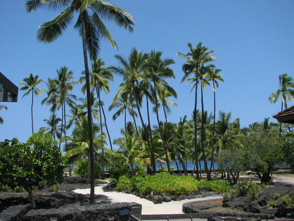 Puuhonua O Honaunau