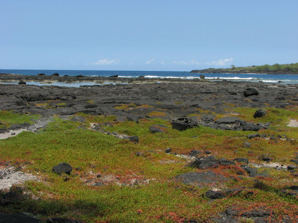 Puuhonua O Honaunau