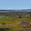 Puuhonua O Honaunau