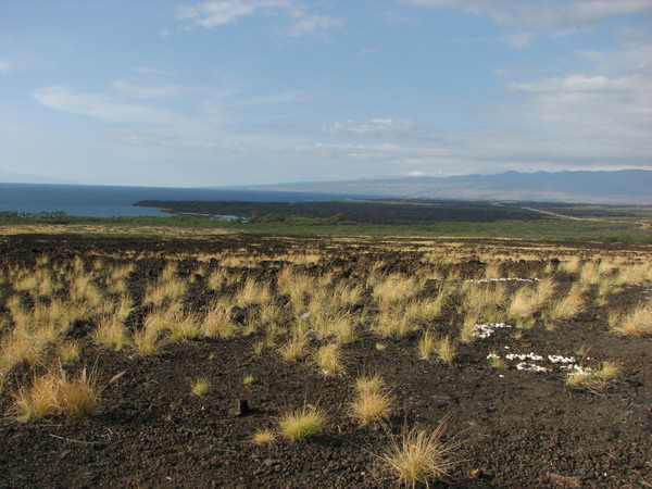 Road 19 沿途風景