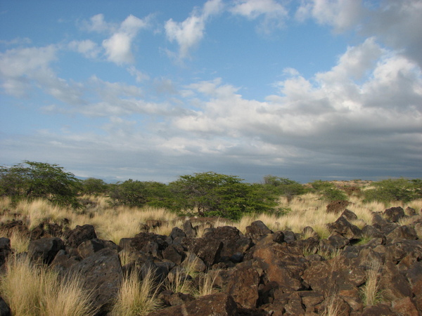 Road 19 沿途風景