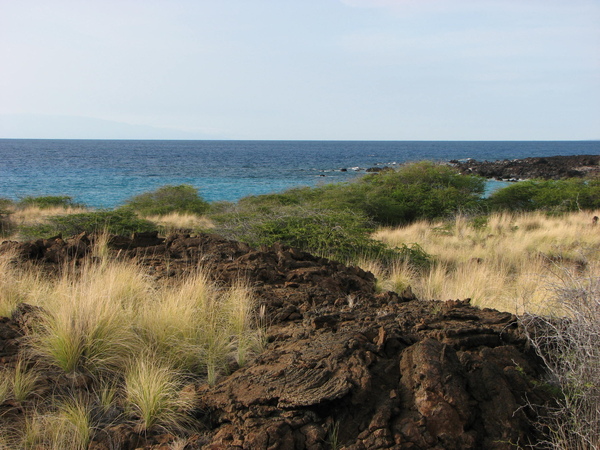 Road 19 沿途風景