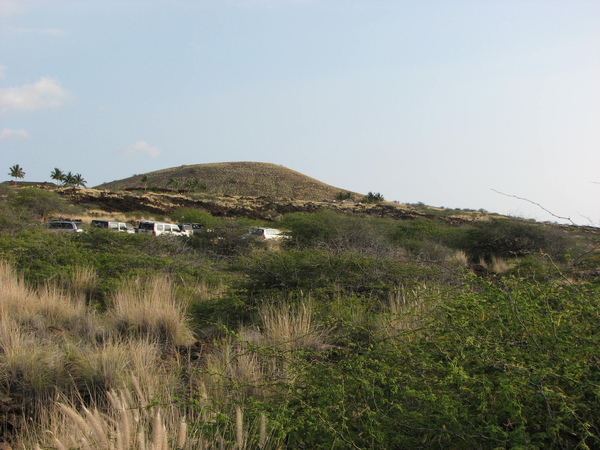 Road 19 沿途風景