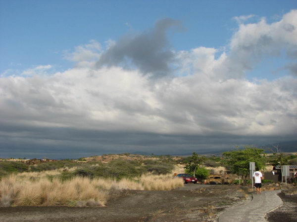 Road 19 沿途風景