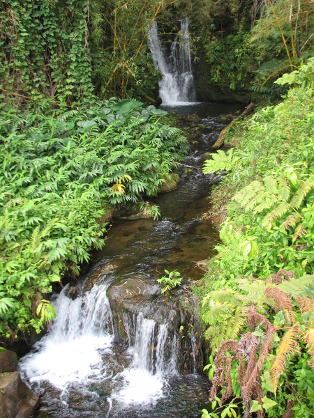 Akaka Fall