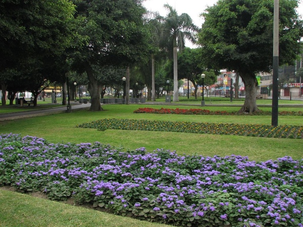 Parque Central de Miraflores