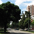 Av. la Reforma