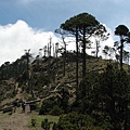 Tajumulco Trail