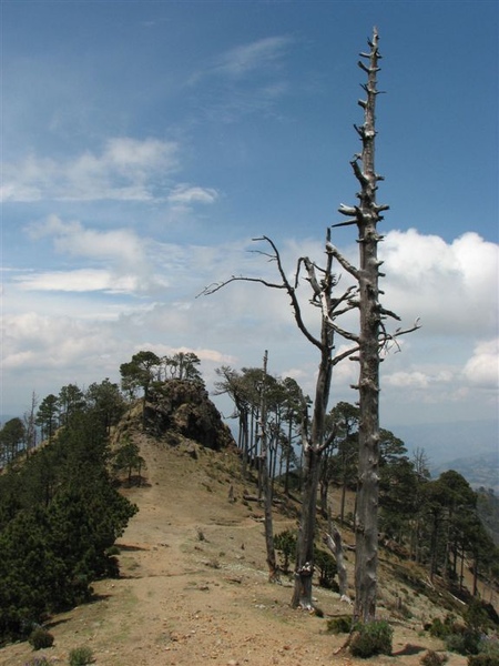 Tajumulco Trail