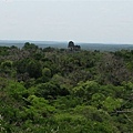 Tikal