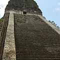 Tikal