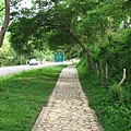 Copán Ruinas