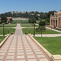 UCLA 