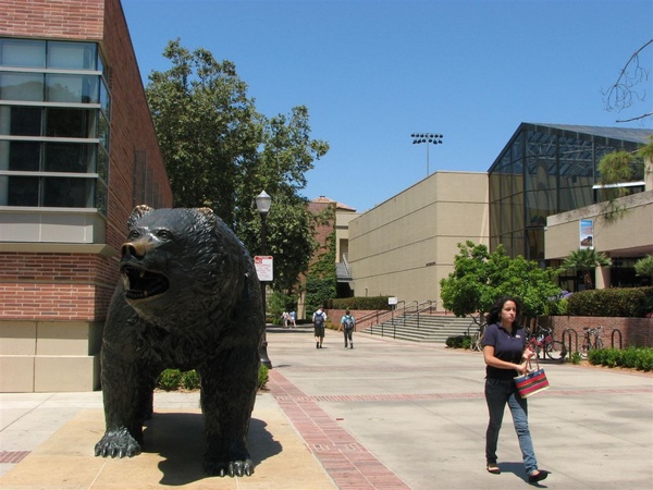 UCLA 