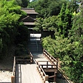 Huntington Library: Garden