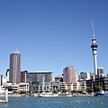 auckland-3