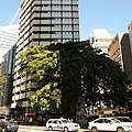Brisbane-1.jpg